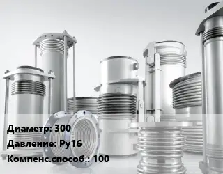 Компенсатор 300 Ру16 100